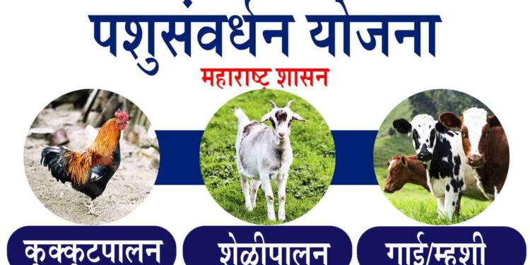 पशुसंवर्धन विभाग अंतर्गत विविध वैयक्तिक लाभाच्या योजनांसाठी अर्ज करण्याचे आवाहन
