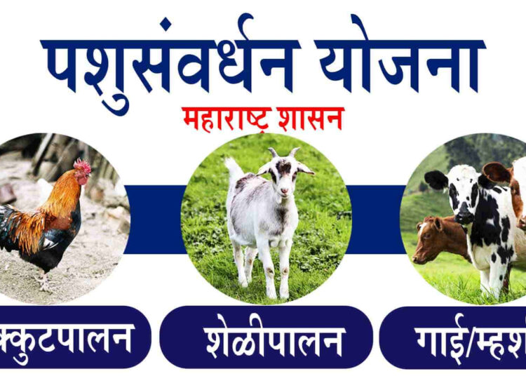 पशुसंवर्धन विभाग अंतर्गत विविध वैयक्तिक लाभाच्या योजनांसाठी अर्ज करण्याचे आवाहन