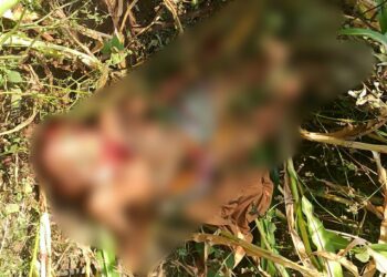 भोकरदन येथील वृद्ध महिलेचा घातपातच,हिंस्त्र प्राण्याने हल्ला केल्याचा केला बनाव:वन विभागाच्या अधिकार्‍यांचा दावा