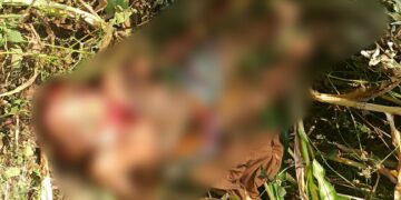 भोकरदन येथील वृद्ध महिलेचा घातपातच,हिंस्त्र प्राण्याने हल्ला केल्याचा केला बनाव:वन विभागाच्या अधिकार्‍यांचा दावा