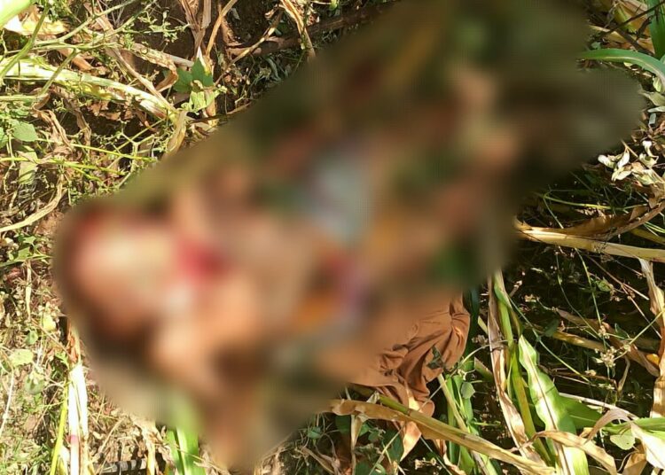 भोकरदन येथील वृद्ध महिलेचा घातपातच,हिंस्त्र प्राण्याने हल्ला केल्याचा केला बनाव:वन विभागाच्या अधिकार्‍यांचा दावा