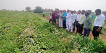 अवकाळी नुकसानग्रस्त शेतांचे पंचनामे त्वरित करा – पालकमंत्री डॉ. विजयकुमार गावित
