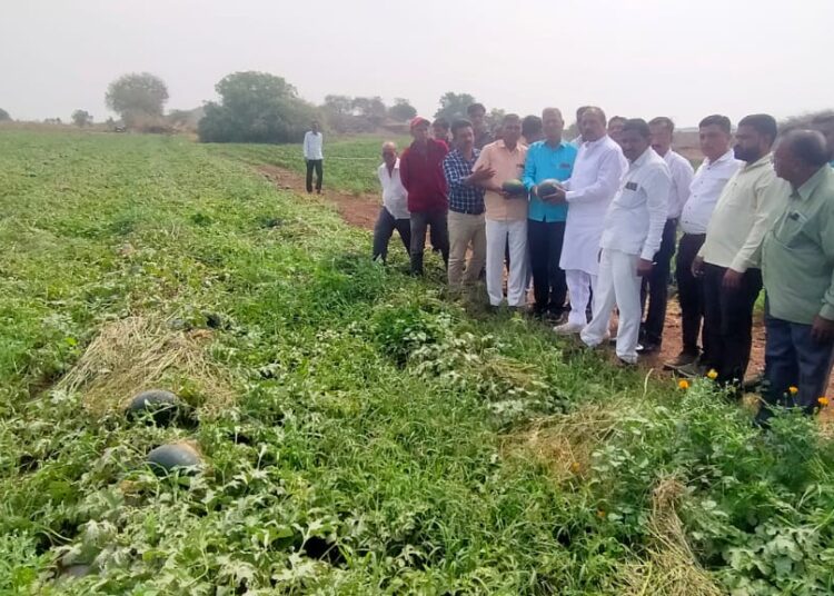 अवकाळी नुकसानग्रस्त शेतांचे पंचनामे त्वरित करा – पालकमंत्री डॉ. विजयकुमार गावित