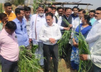 पालकमंत्री गिरीश महाजन यांच्याकडून धुळे जिल्ह्यातील गारपीटग्रस्त भागाची पाहणी