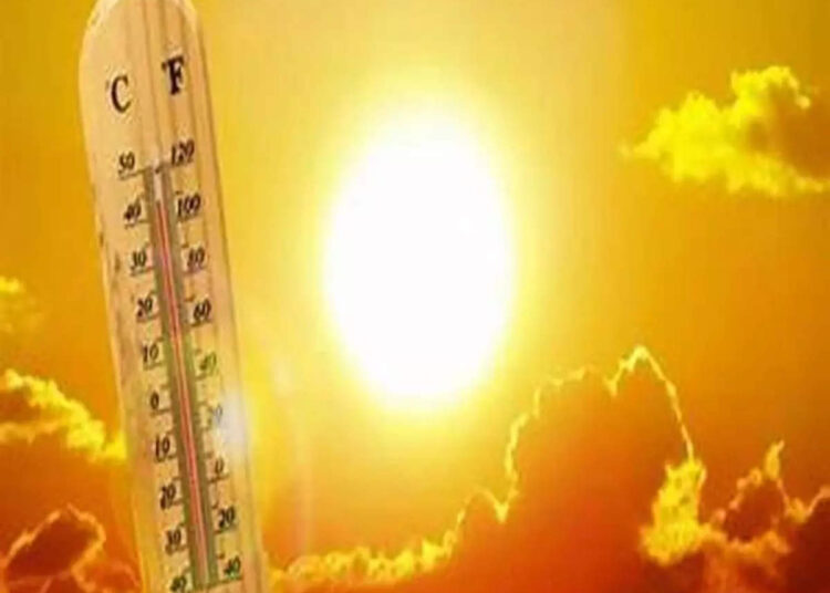 उष्मालाटेपासून बचावासाठी काळजी घेण्याचे जिल्हा प्रशासनाचे आवाहन