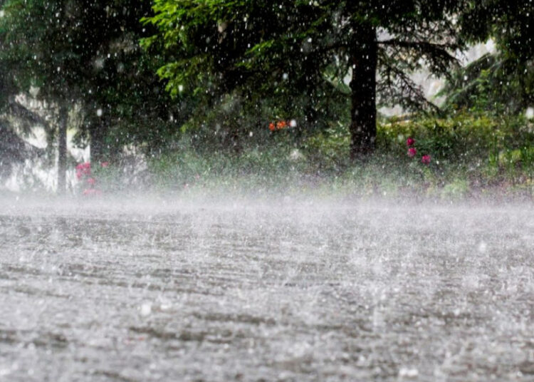 मुंबईसह पालघरमध्ये पावसाला दमदार सुरुवात; पुढचे दोन दिवस पावसाचेच