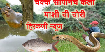 चक्क सापच निघाला मच्छी चोर…. सापाने मच्छी ची केलेली चोरी खारुताईने दिली पकडून, पहा हा अनोखा प्रसंग, जरा हटके स्टोरी