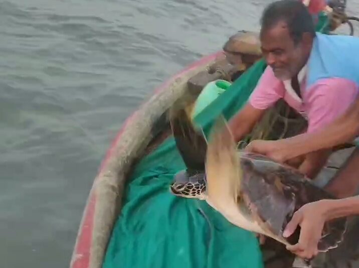 मच्छीमार बांधवांनी दिले कासवाला जीवनदान