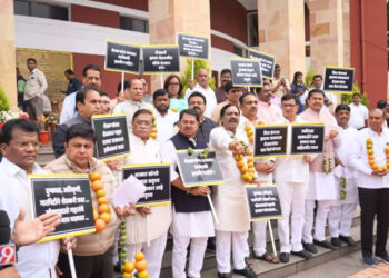 संत्री, कापसाच्या बोंडांच्या माळा गळ्यात अन् निषेधाच्या घोषणा
