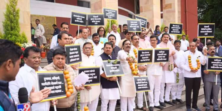 संत्री, कापसाच्या बोंडांच्या माळा गळ्यात अन् निषेधाच्या घोषणा