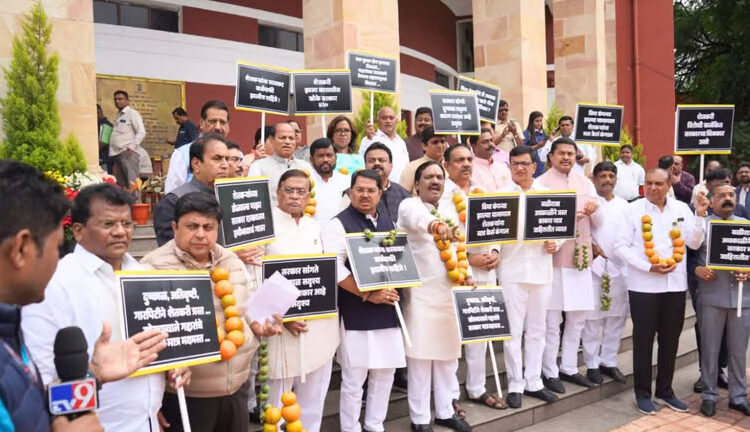 संत्री, कापसाच्या बोंडांच्या माळा गळ्यात अन् निषेधाच्या घोषणा