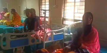 मधमाशांच्या हल्ल्यात ६ महिला मजूर गंभीर जखमी