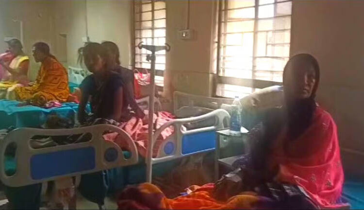 मधमाशांच्या हल्ल्यात ६ महिला मजूर गंभीर जखमी