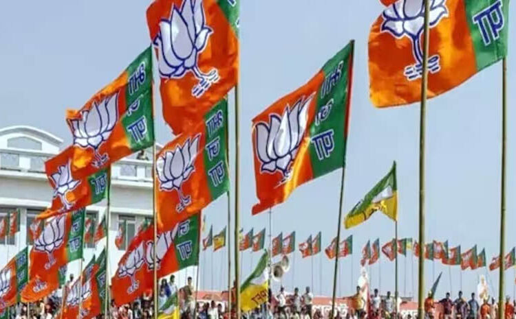 भाजपकडून उमेदवाराचे नाव गुलदस्त्यात… रणनिती मात्र जोरात