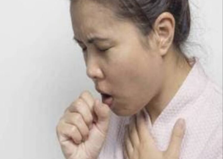 बदलत्या हवामानाचा शेतीसह मानवी आरोग्यावर परिणाम