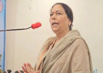 ‘लाडकी सून’ योजना सुरू करा, थेट मंत्र्याच्या बायकोचीच सरकारला मागणी; सरकार ऐकणार?