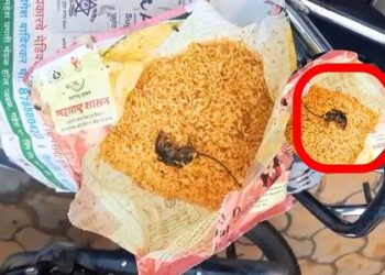 पोषण आहाराच्या पाकिटात निघालं मेलेल्या उंदराचं पिल्लू