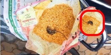 पोषण आहाराच्या पाकिटात निघालं मेलेल्या उंदराचं पिल्लू