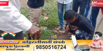 जालना शहरातील कन्हैयानगर परिसरात बिबट्या आढळला?