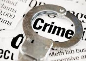 वसईत दोन लहान मुलांवर आईचाच अत्याचार