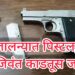 जालना : पिस्टल, दोन जिवंत काडतूसासह एक जण सदरबाजार पोलीसांच्या ताब्यात
