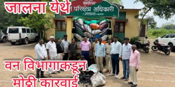 कोळश्याची बेकायदा वाहतुक करणार्‍यावर वन विभागाची कारवाई; कोळश्याच्या 76 गोण्या आणि चारचाकी वाहन जप्त