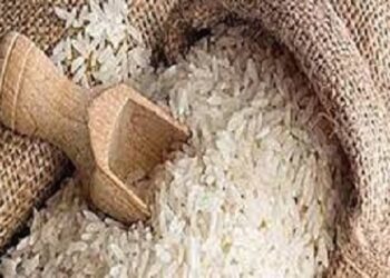 फोर्टीफाईड तांदुळ आरोग्यासाठी अत्यंत लाभदायी