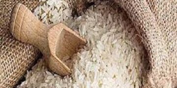 फोर्टीफाईड तांदुळ आरोग्यासाठी अत्यंत लाभदायी