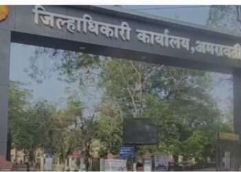 गळ्यात चपलांची माळ, काळं फासलं.. जादूटोण्याच्या संशयावरून वृद्धेची धिंड